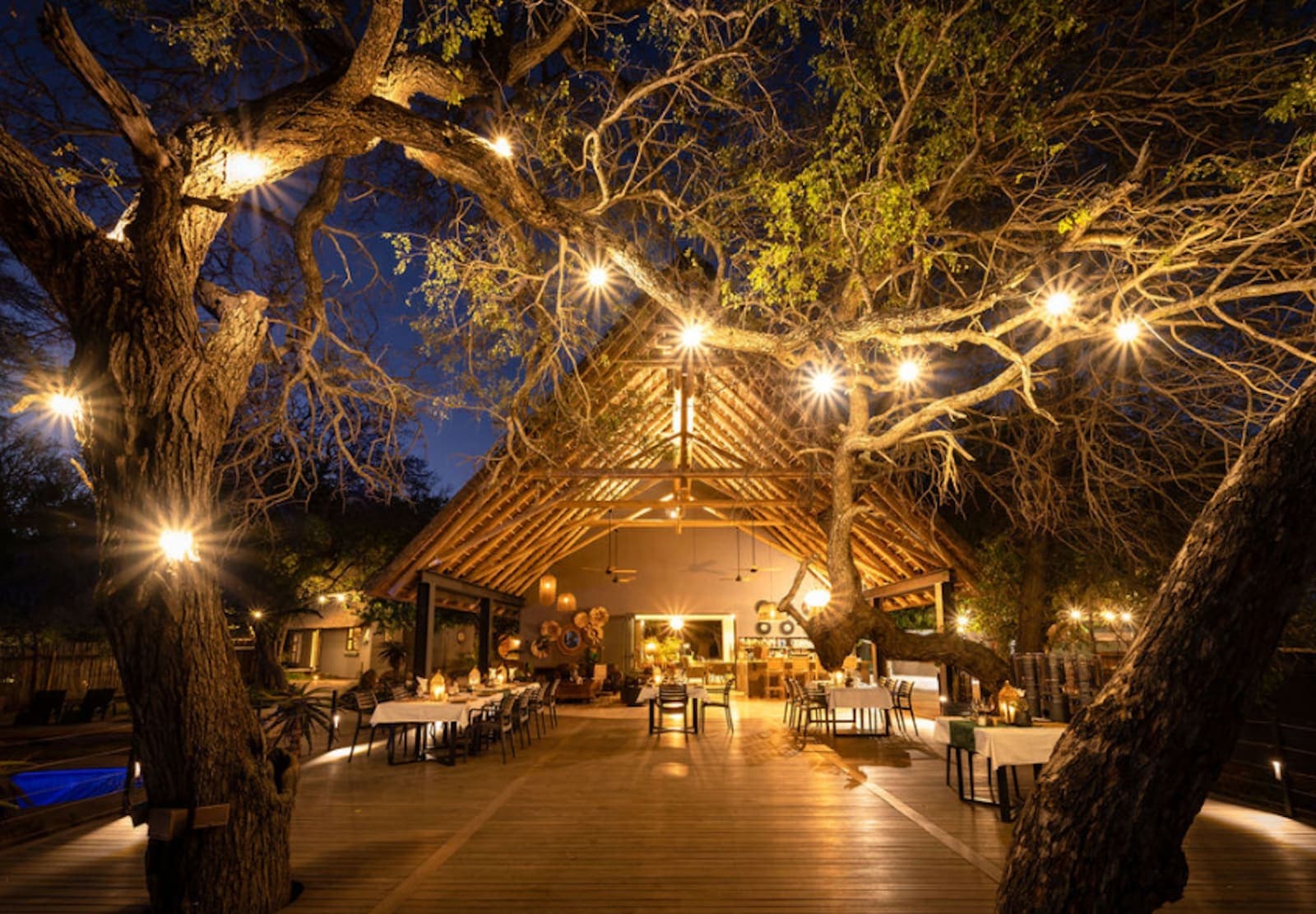 5 Day Luxury Womens Wellness Safari Retreat: Wild Awakening