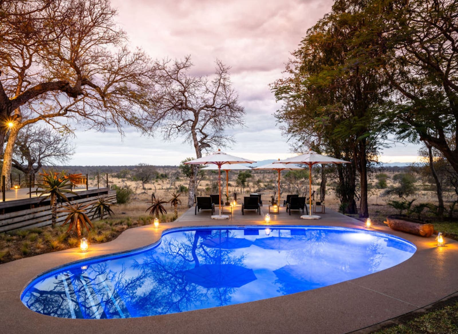 5 Day Luxury Womens Wellness Safari Retreat: Wild Awakening 2