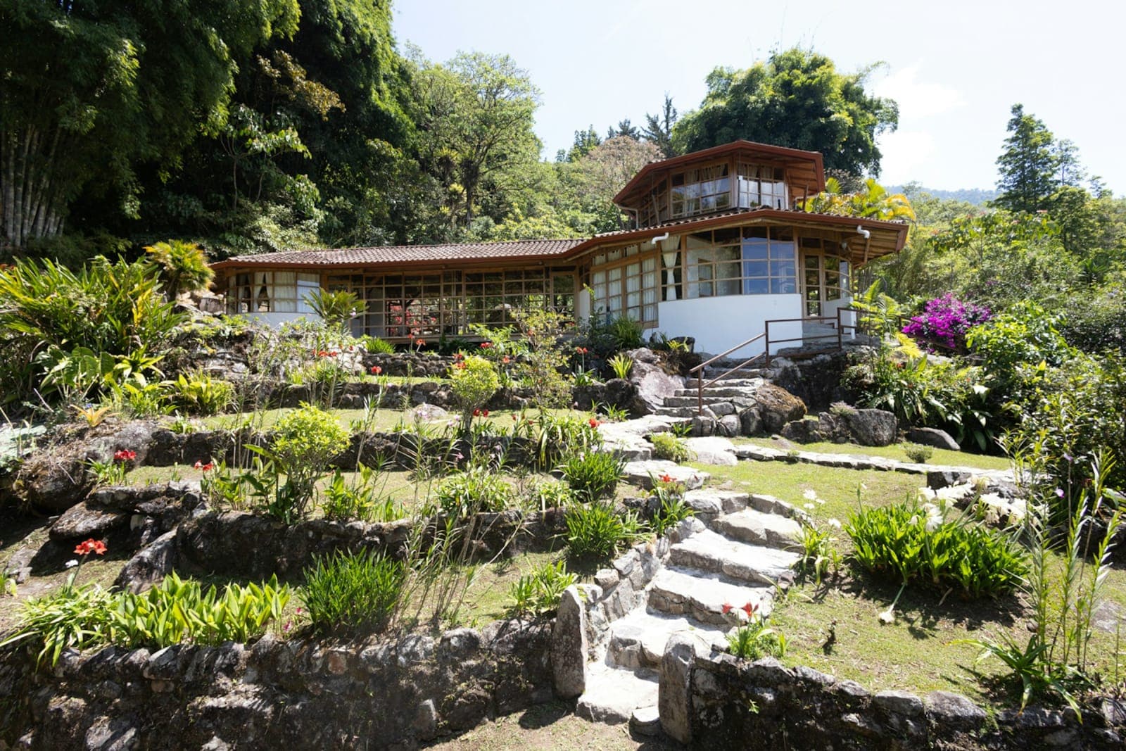 Selva Dance Retreat 7.0: Somatic Dance & Embodiment in Costa 3