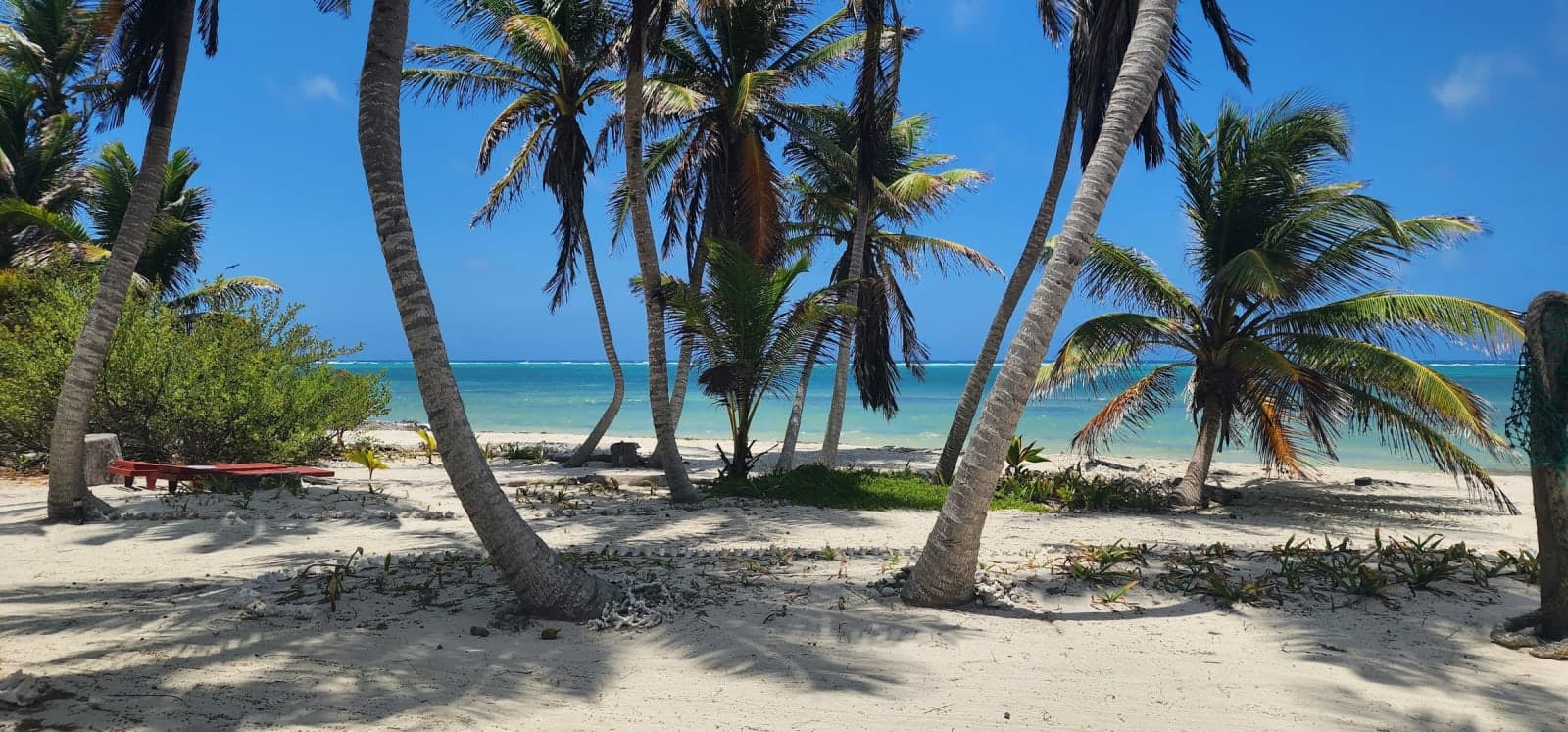 Playa Sonrisa- Private Beachfront Resort in Mexico