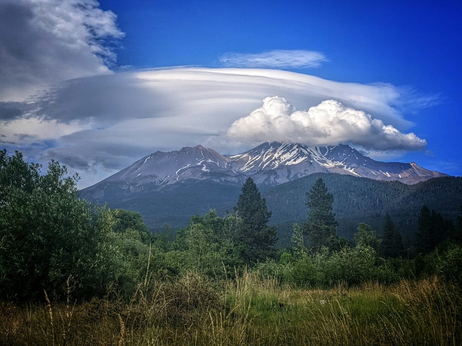 Sacred Pathways Mount Shasta 2