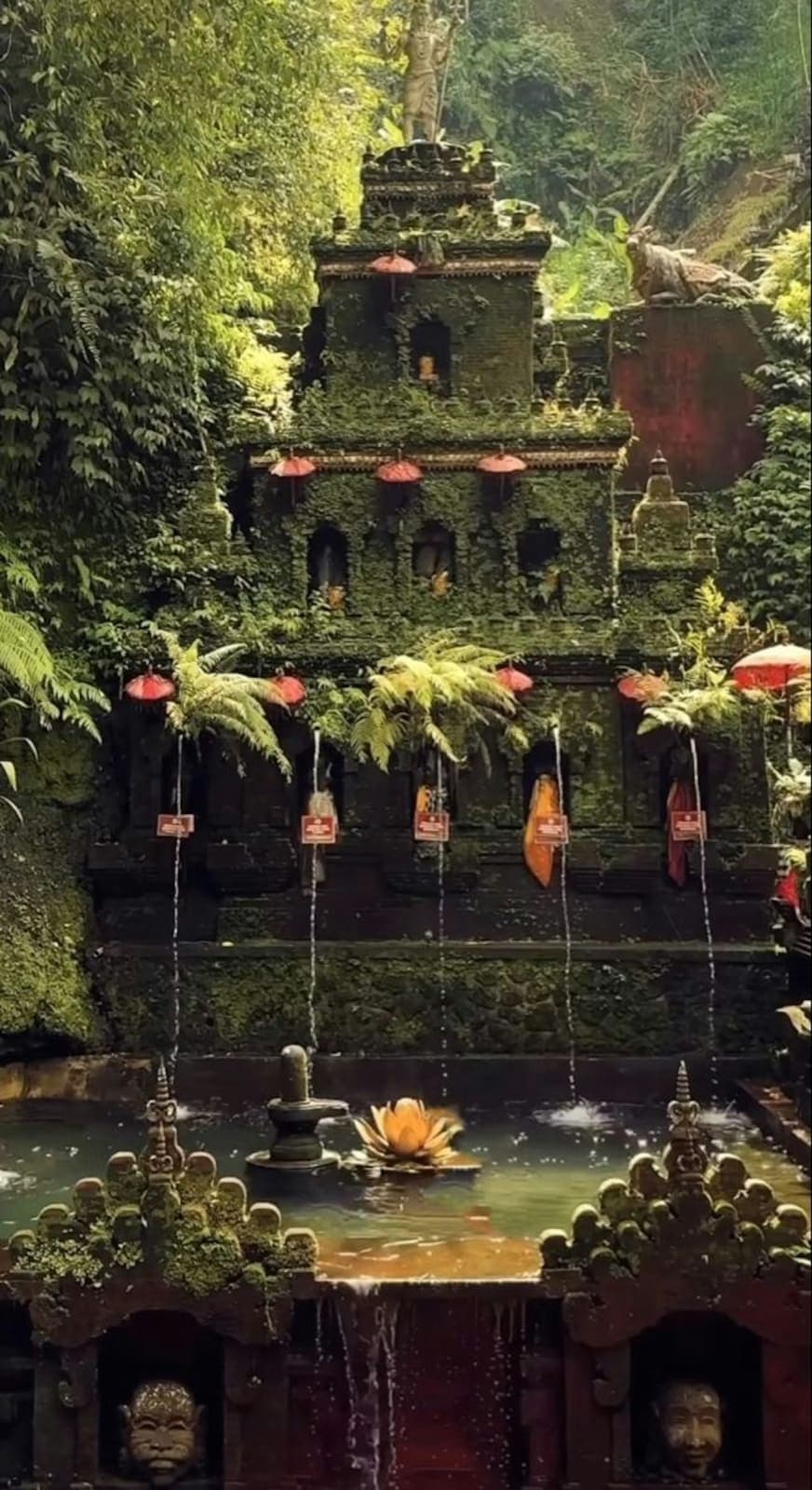 Feminine Rewilding & Embodied Sexuality Retreat, Indonesia 5