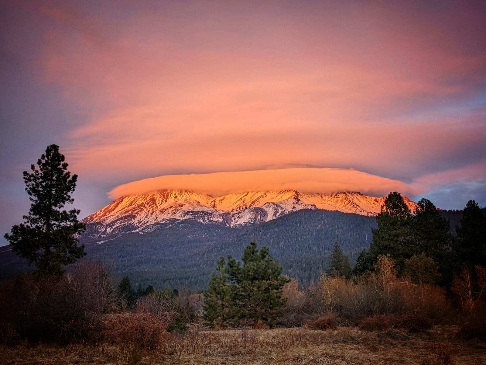 Train the Brain Meditation Retreat in Mount Shasta