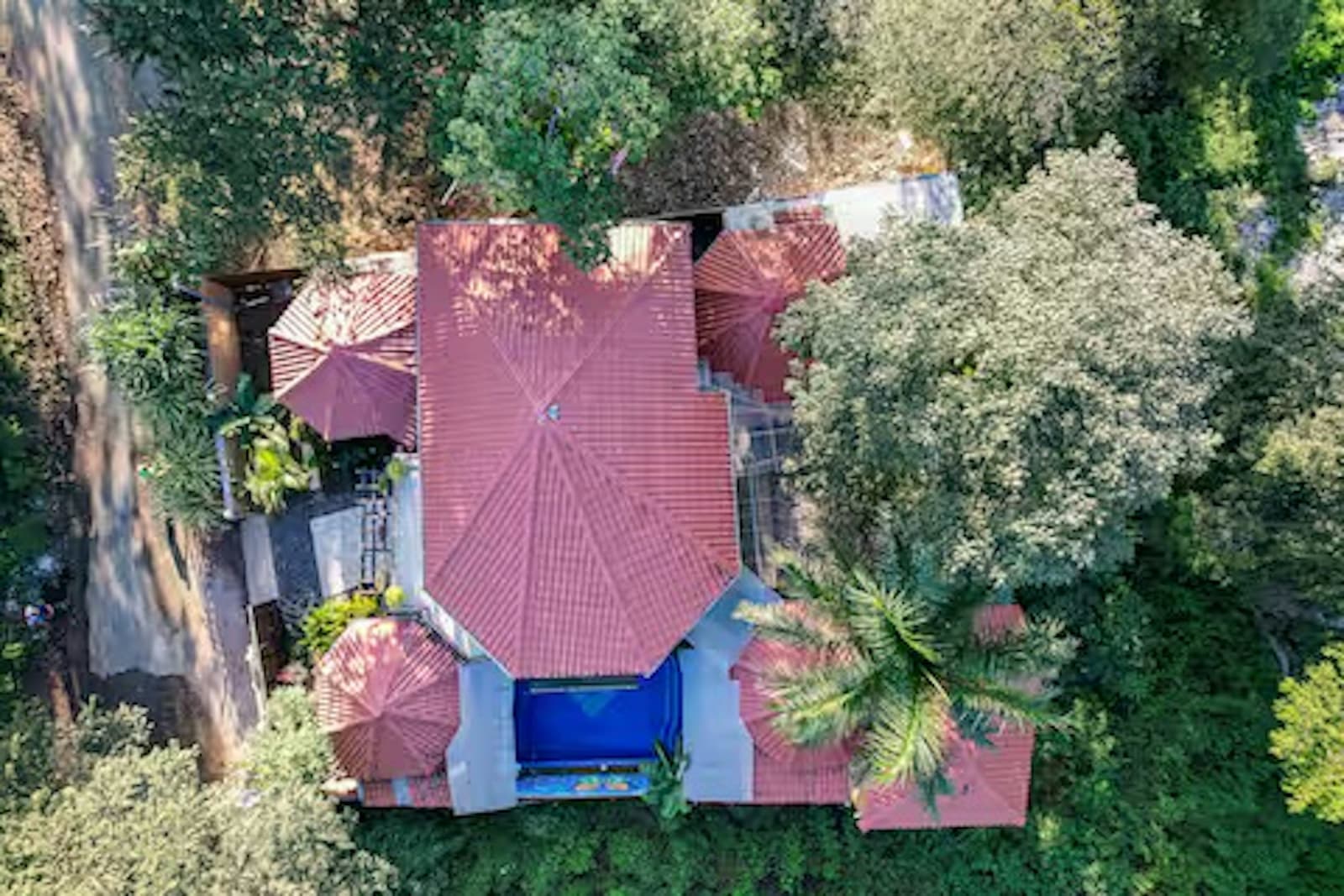 Casa Melosa Retreat Villa