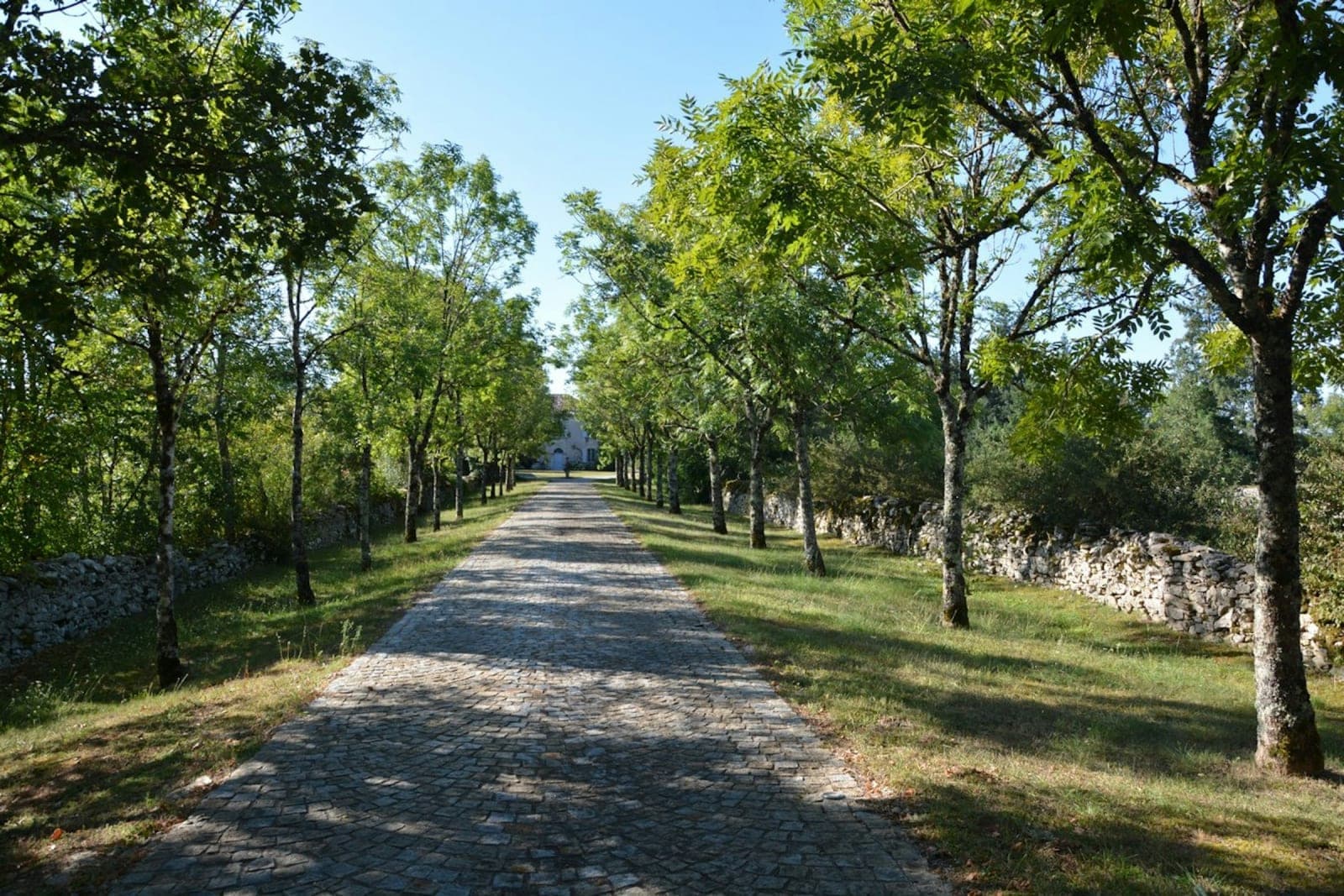 Intimate detox & wellness retreat 2