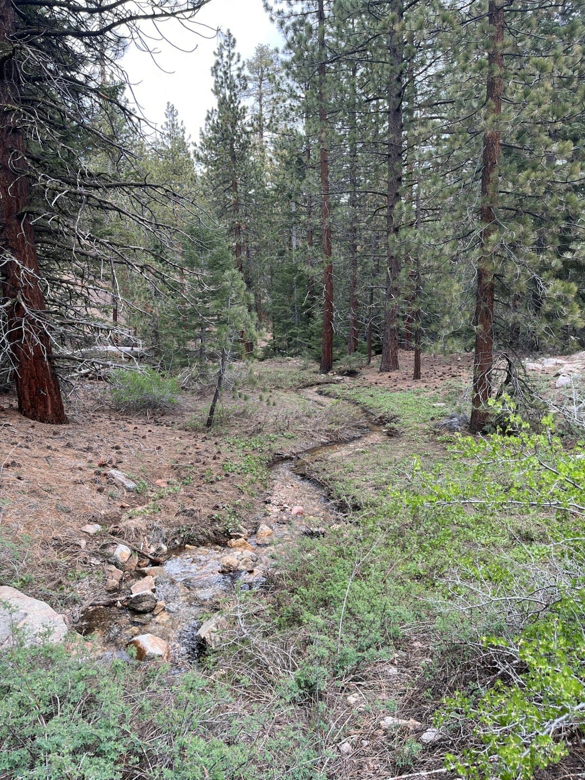 Mountain retreat center in the Los Padres National forest 2