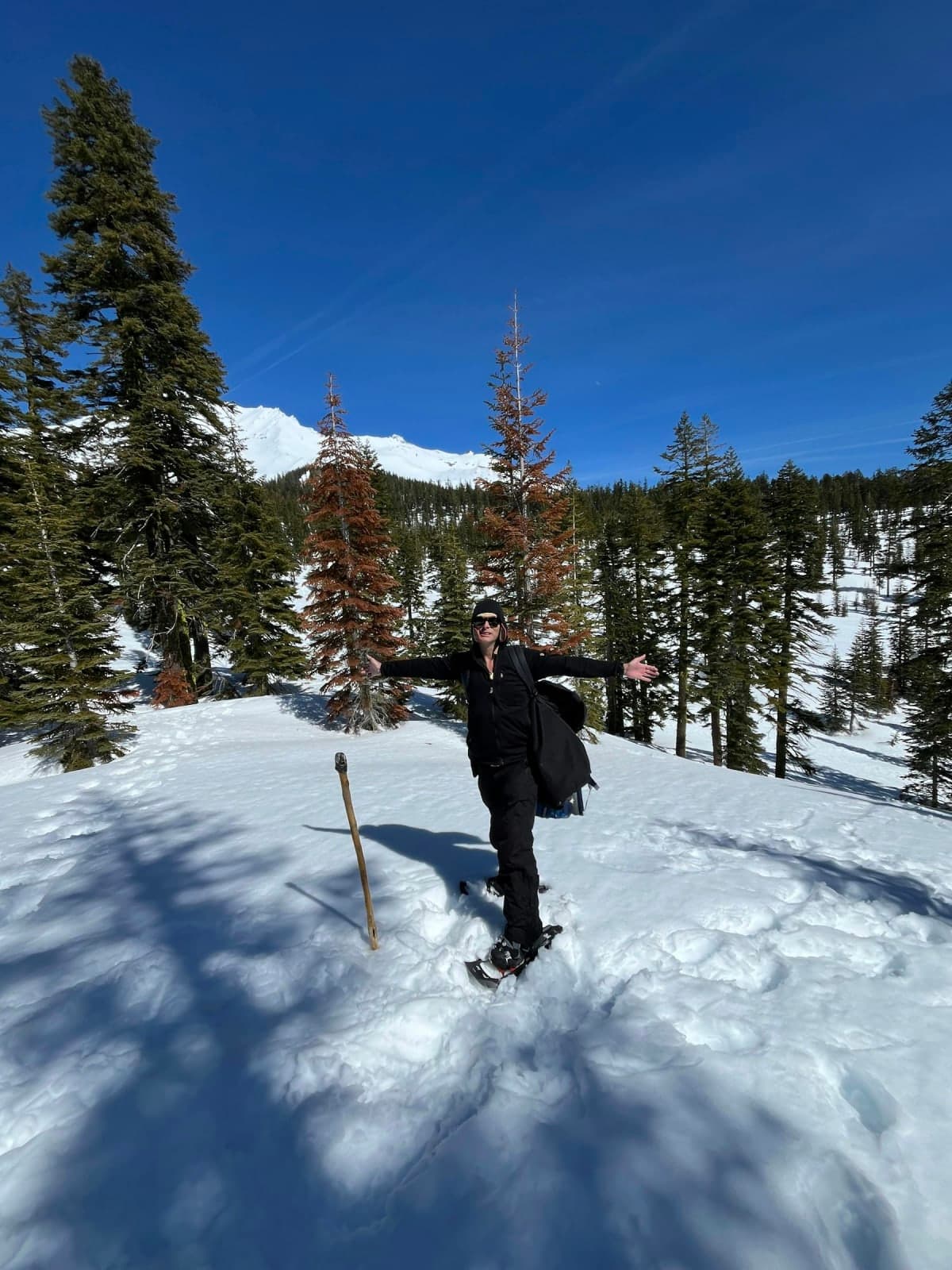 Paul of Venus | Mt Shasta Guide | Ascension Guide