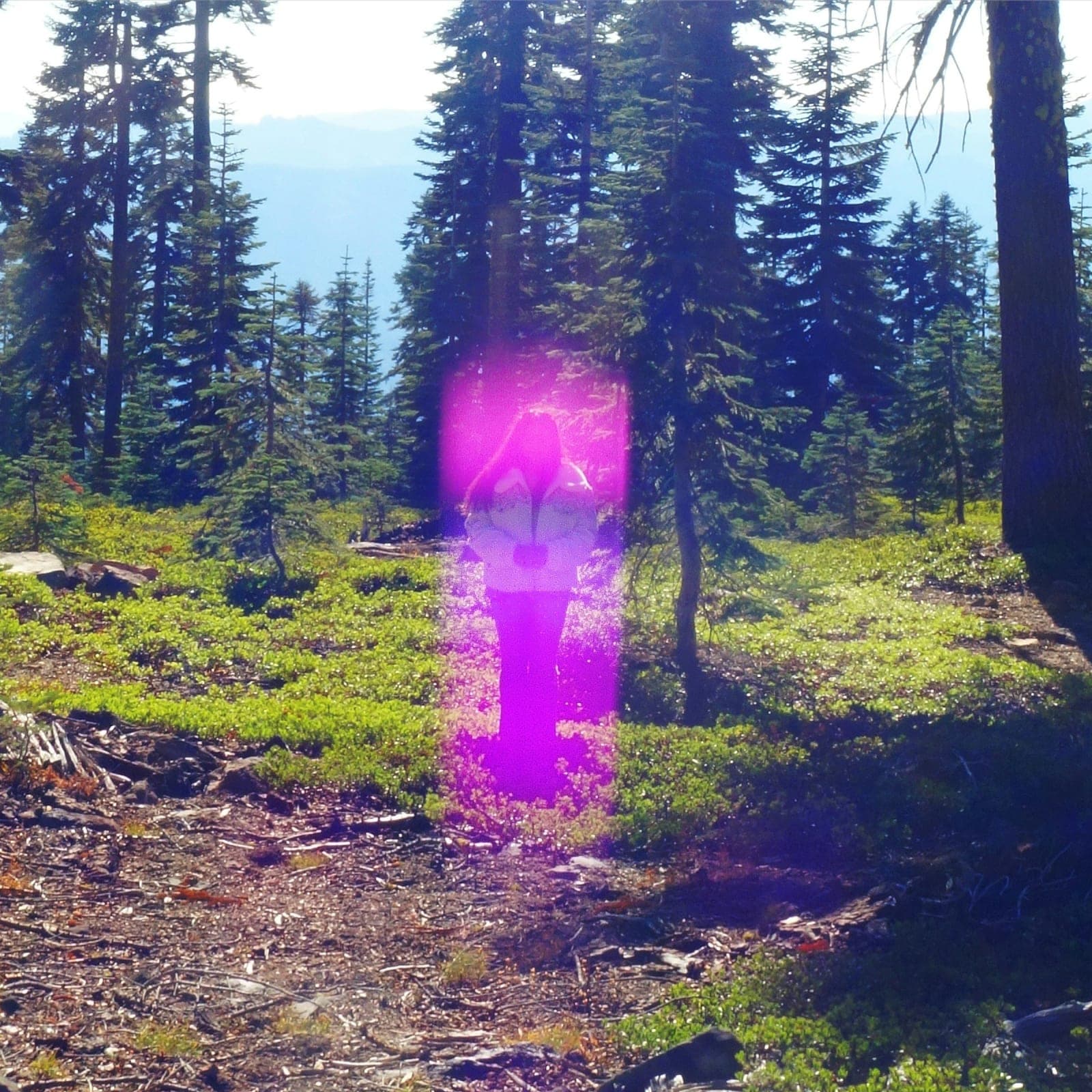 Paul of Venus | Mt Shasta Guide | Ascension Guide 4