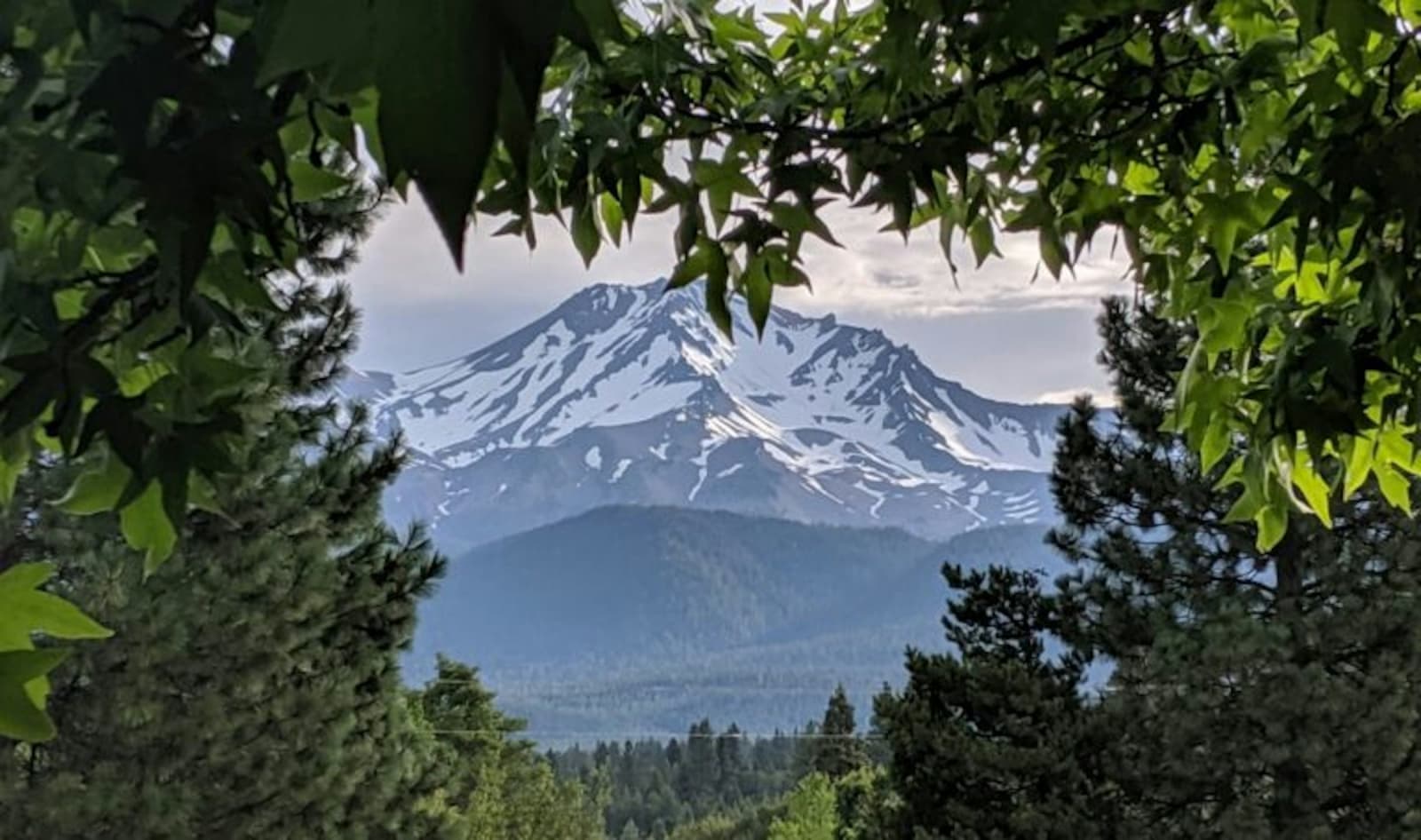 Week-long Mt. Shasta Retreat to Re-Create your Life! 4